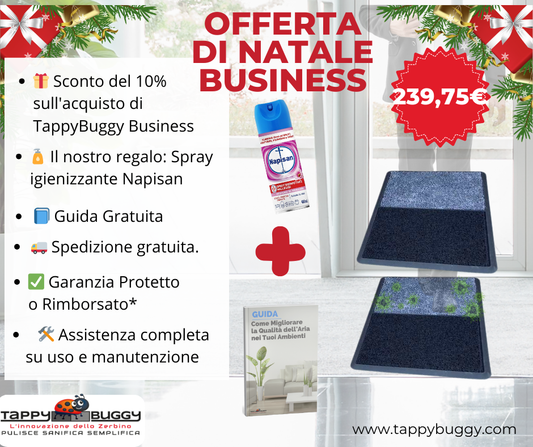 Offerta Natale 2 TappyBuggy Business