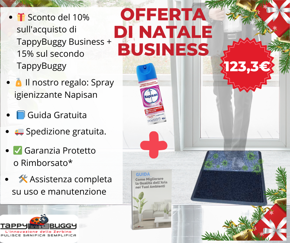 Esclusiva offerta di Natale: 🏢 Proteggi la tua azienda con TappyBuggy Business